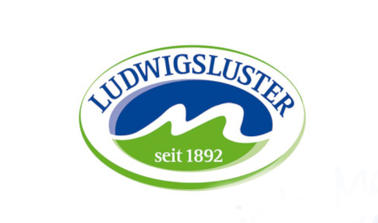 Regionale Partner Ludwigsluster